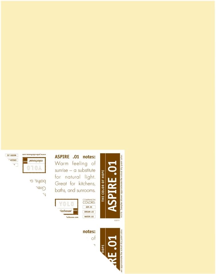 YOLO Colorhouse Poster Size PrePainted Sample (Big Chip), Aspire .01, 12 in. x 16 in. House