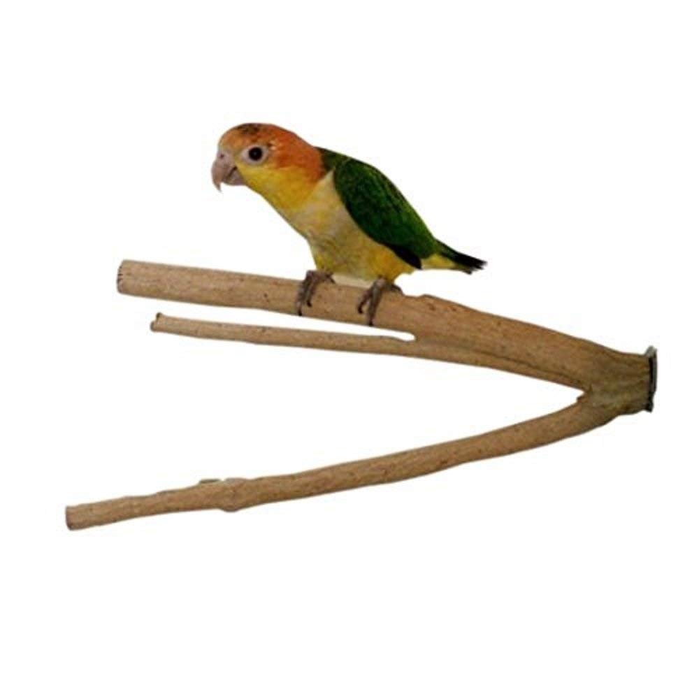 bird cage perches wood
