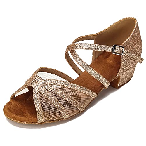 Image of Low Heel Ballroom Dance Shoes Women Latin Salsa Practice Dancing Shoes 1.5 Inch Heel ZB14