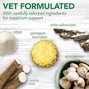 Vet’s Best Aches + Pains Dog Supplement – Vet Formulated for Dog Occasional Discomfort and Hip and Joint Support – 50 Chewable Tablets(Pack of 1)