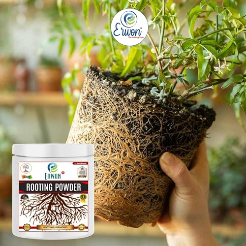 Image of Erwon organic Rooting Powder with auxins for getting fast roots in plant cuttings and plant air layering (50 gm)