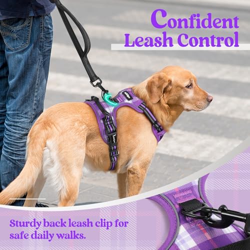 Image of rabbitgoo Dog Harness No Pull with 2 Leash Clips, Adjustable Soft Padded, Reflective Oxford No Choke Pet Vest with Easy Control Handle for Large Dogs, Purple Plaid, XL