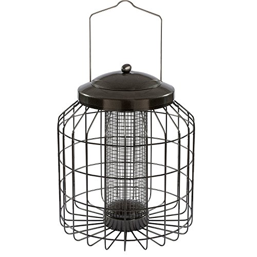 Gardman BA01821 Heavy Duty Squirrel Proof Peanut and Sunflower Seed Feeder, 9.45