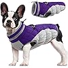 Fuamey dog coatwarm dog jacket winter coat paded dog fleece vest reflective dog cold weather coats with built in harness waterproof windproof dog snow jacket clothes with zipper purple medium  urban country home decor
