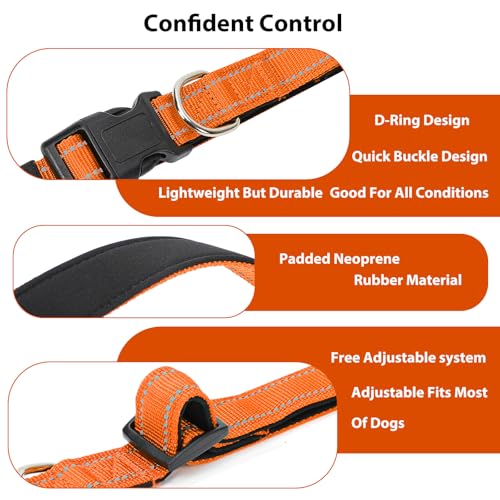 Image of Reflective Dog Collar, Adjustable Nylon for Small Dogs, Orange