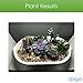 Intelligent Indoor LED Light Garden by Spigo, with Self-Timing and Self Watering Technology, Great for Growing Fresh Herbs, Small Plants, and Also Makes A Great Gift, Sleek Matte Black Finish