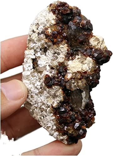 Minerales de China de 82g para reducir el estrés visual en oficinas 4