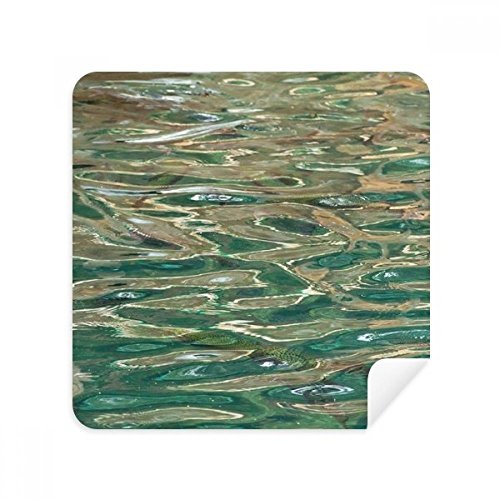 Chiffon poisson pour éliminer les traces sur lunettes et écrans