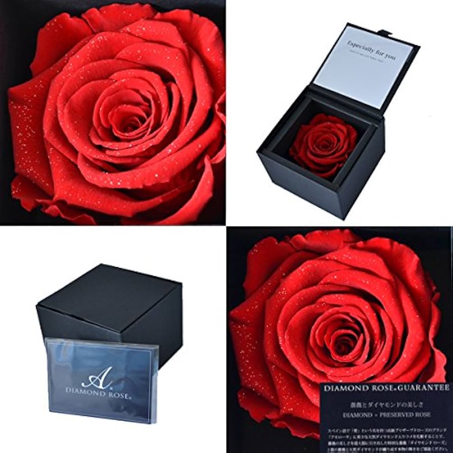 ✨　希少　ダイヤモンドローズ　赤薔薇　プリザーブドフラワー 楽天市場】プロポーズ プリザーブドフラワー リングケース 指輪