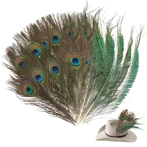 Generisch 20 Stück Natürliche Pfauenfeder 25-30CM Schöne Augen Federn für Hüte DIY Craft Handwerk Kopf Dekorationen Pfau Deko (10 x Augenfeder+10 x Randfedern)