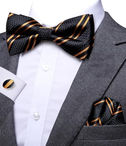 Image of Dubulle Mens Paisley Striped Bowtie Set Pre-tied Bowtie for Men and Pocket Square Set Wedding Business