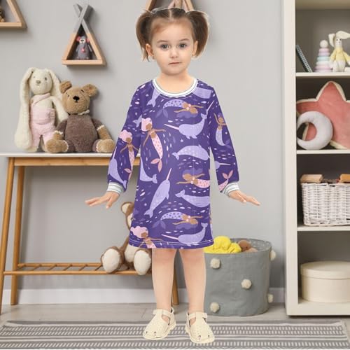 Toddler Girl Long Sleeve Dress Casual Fall Winter Dresses for Girls 2-8 Years2
