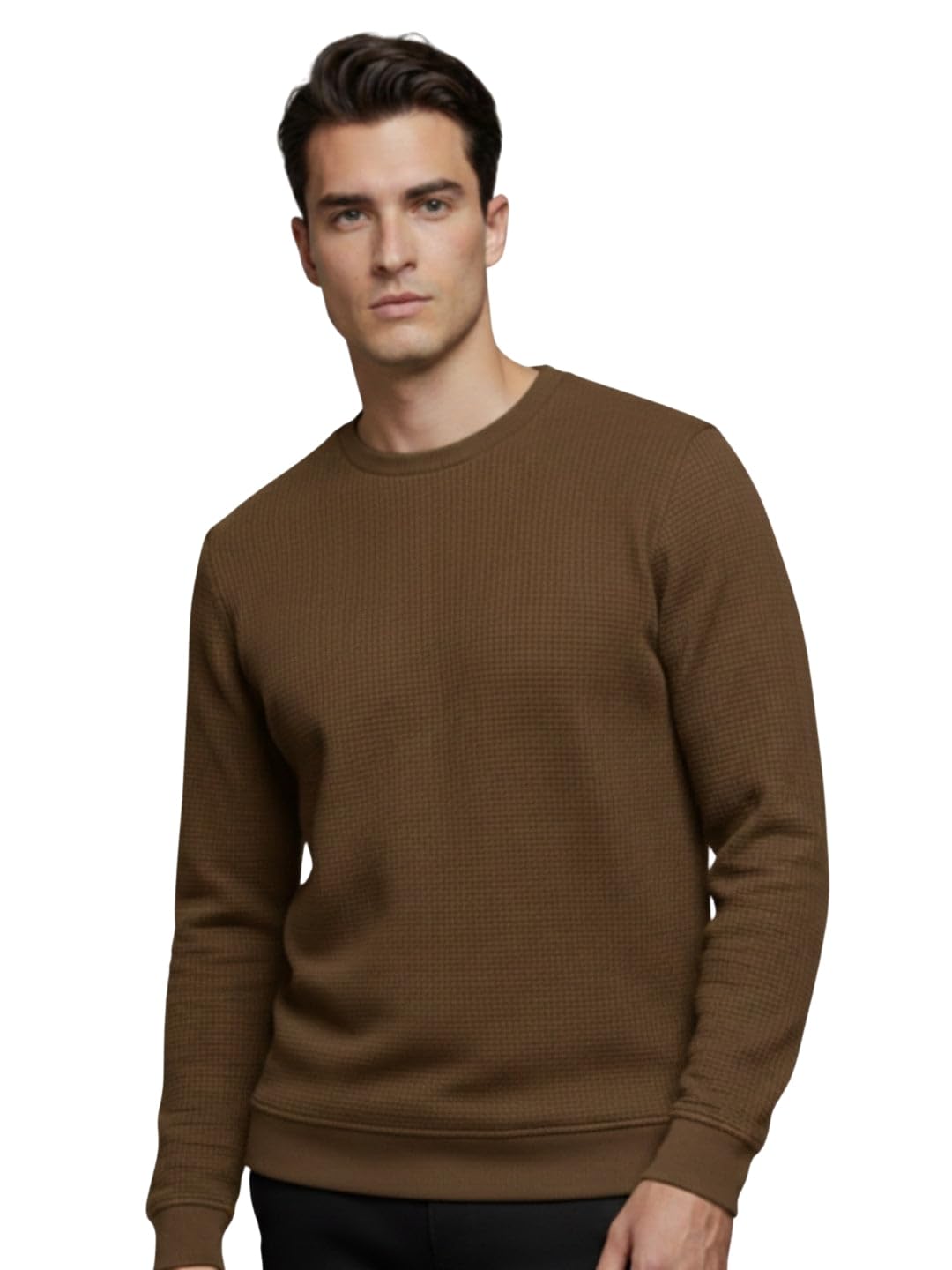 status quo Men's Solid Textured Round Neck Full Sleeves Sweatshirt-picture-30