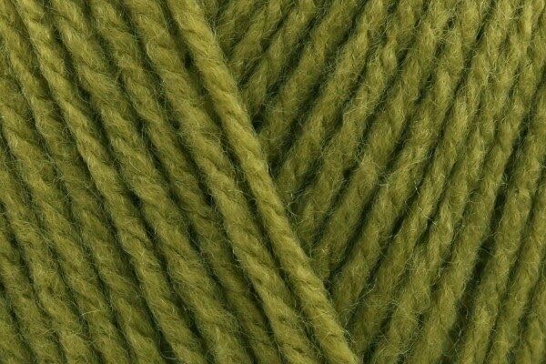Stylecraft Special DK - Mistletoe (2180), Single 100g Ball, Popular Knitting & Crochet Yarn, 100% Acrylic, 295 Metres — image 1