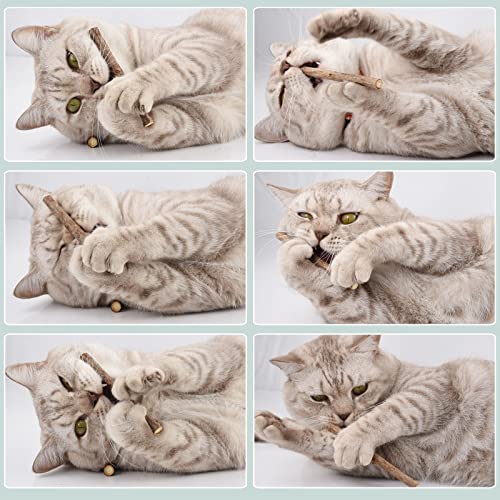 Onebarleycorn Katzenminze Sticks für Katzen, Matatabi Stick Katze Sticks Spielzeug Matabi katzensticks Katzenspielzeug für Zahnpflege,20 Stück