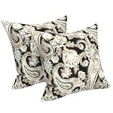 LVTXIII Outdoor Throw Pillows 16x16 Inch, Set of 2 Square Decorative Pillows with Inserts for Patio Furniture, Porch Chair, Sofa Accent, Paisley Black