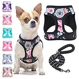 BEAUTYZOO Step in Dog Leash Set, Floral Pattern Reflective Harness No Pull No Choke Puppy Harness for XXS XS S Pets, Soft Padded Mesh Vest for Girl and Boy Dogs and Cats