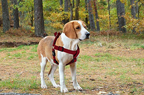 KRUZ PET KZA201-01L Arnês de malha para cães – sem puxar, fácil ajuste ajustável – Arreio confortáve