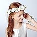DDazzling Girls Flower Berries Crown Headband Floral Crown with Floral Wrist Band for Wedding Festivals (White)