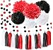 Minnie Mouse Party Supplies White Black Red Baby Ladybug Birthday Party Decorations/First Birthday Girl Decorations Tissue Paper Pom Pom Tassel Garland Minnie Mouse Birthday Party Decorations