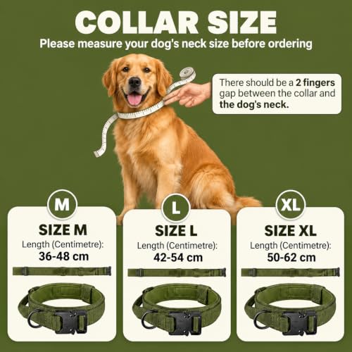 Image of Tactical Dog Collar and Leash Set, Olive Green