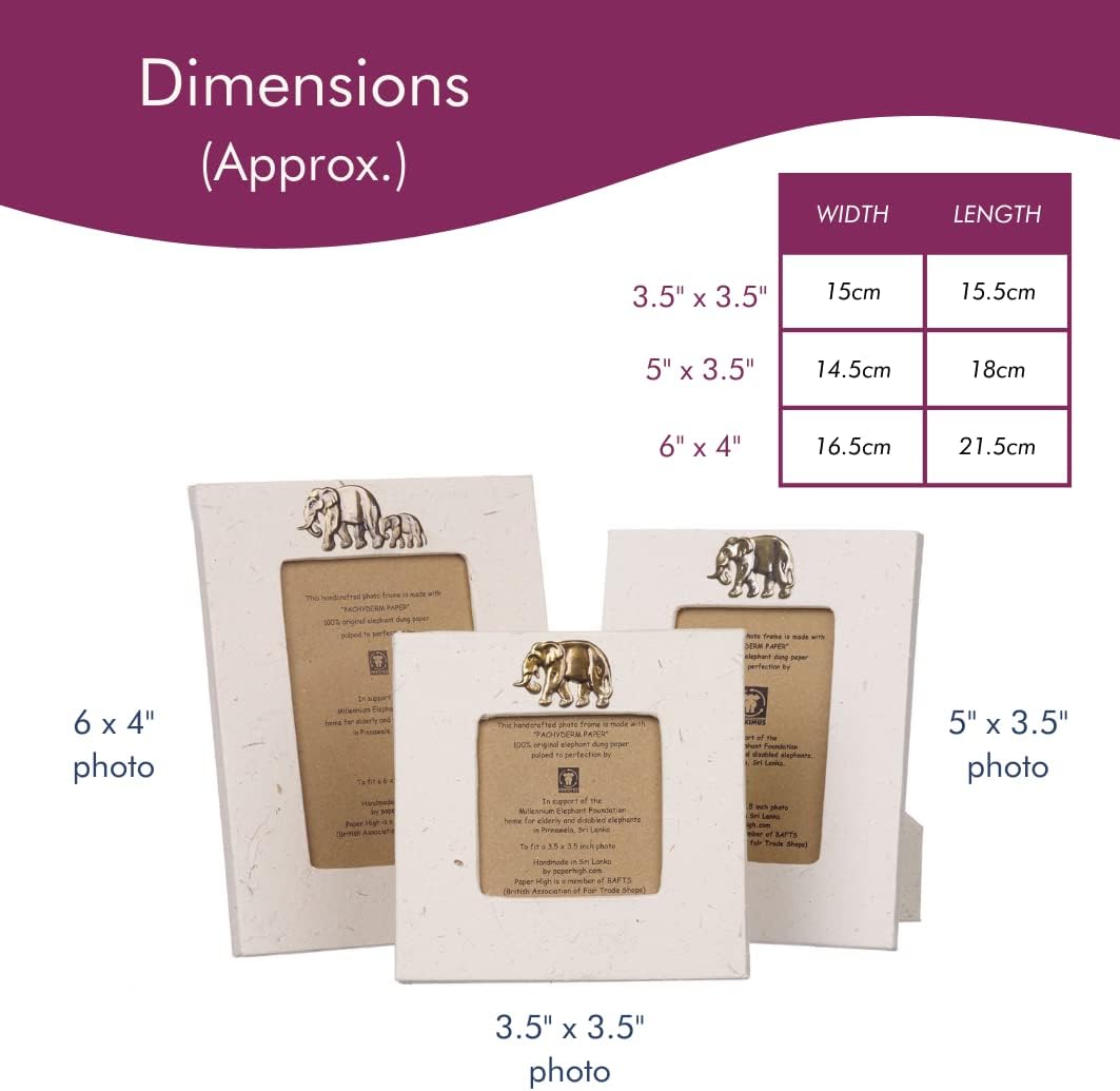 Paper High Elephant Dung Photo Frame Large 6 x 4 in