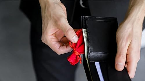 Miniatura 3 de Moneda MJM a cartera (Gimmicks and Online Instructions) de Rodrigo Romano and Mysteries - Trick