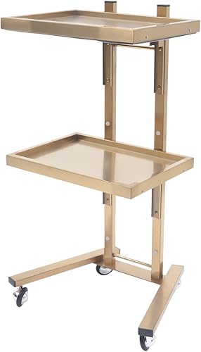 Carrito utilitario de acero inoxidable de 2 niveles, estante para tatuajes, carrito de servicio de catering, carrito de almacenamiento para cocina,