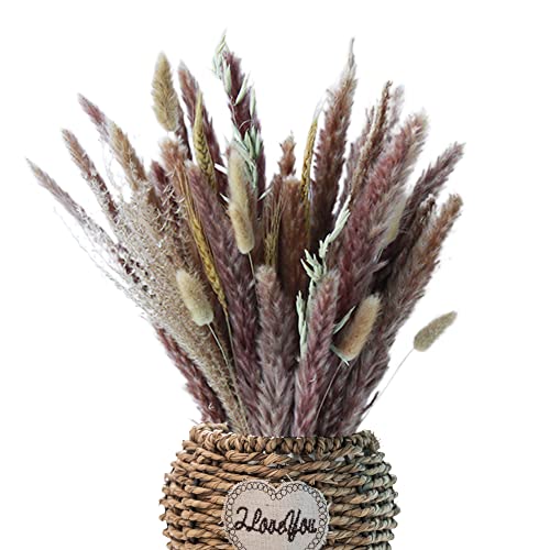 CoolCrafts Fleurs Séchées Naturelles Bouquets de Fleurs Séchées Pampas Séchées Décoration Cover