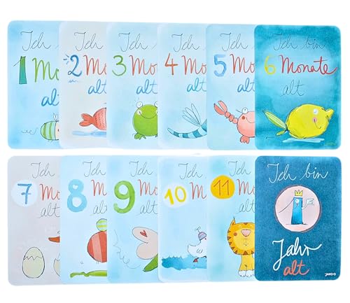 Meilensteinkarten Baby Geburt + 1. Jahr | Designed & Made in Germany | Inkl. Geschenkbox