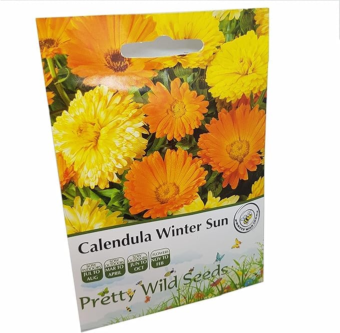 Calendula Winter Sun Seeds in Pictorial Packet from UK Seller