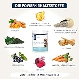 PetFokus Vital Formel Plus | unterstützt Verdauung, strahlendes Fell, Energie & Vitalität | Futterergänzung für Hunde | Vitamine, Mineral- & Pflanzenstoffe I Probiotika & Omega-3 | leckerer Geschmack