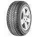 Produktbild MABOR 185/70R14 88T TL WINTER JET 3
