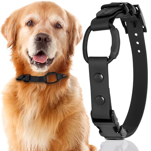 Image of 3 /4 inch e-Collar Bungee Collar Strap, Waterproof (Blue, 3 /4 inch)