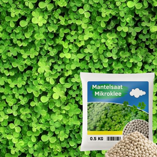 Mantelsaat Mikroklee - Weißklee 500g - Rasenklee bereichert den Rasen - Klee Samen zur Anlockung von Bienen -Saatgut für gleichmäßige, dichte Grasnarbe das ganze Jahr über