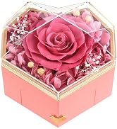 for Women Preserved Rose Gift for Her Mom Girlfriend Wife Real Rose Flower with I Love You Neckla...