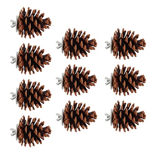 Pine Cone Bird Toy For Let, Bird Toys 10pcs Bird Bite Pine Co Pine Cone Chewing Bird Speelgoed voor Parakeet Cocl Conure Fi Budgie Aw - Afbeelding 3