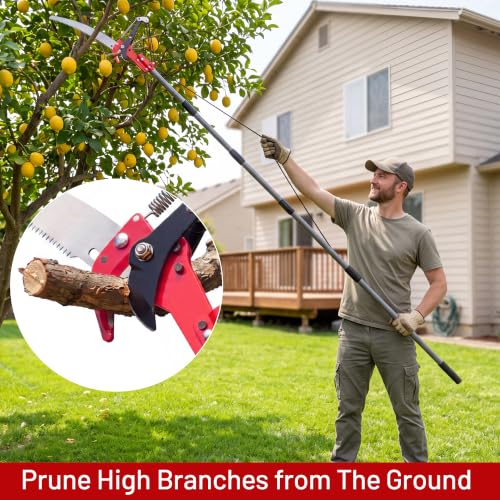 Suchtale 10FT Pole Tree Pruner for High Branch Trimming with Saw - Image 3