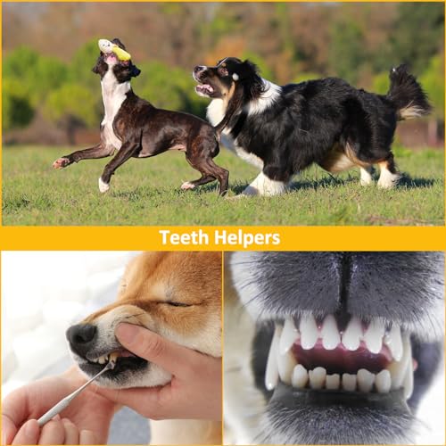 Kapetgo 6 Pack Luxury Dog Squeaky Toys for Puppy Cute Small Plush Dog Toys for Small Medium Dogs - Image 3