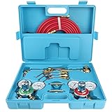 Tolsous Gas Welding Cutting Kit Oxygen Acetylene Gas Cutting Torch and Welding Kit Portable Oxy Brazing Welder Tool Set Torch and Regulator with Two Hose, Tips, Goggles, Blue Carrying Case