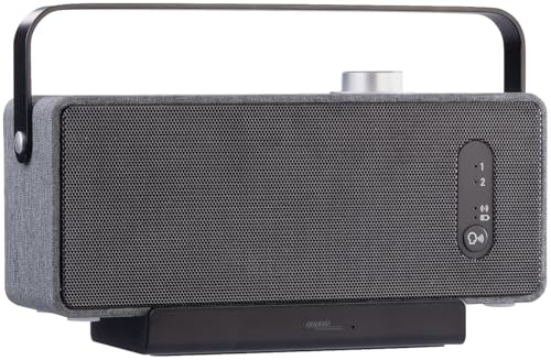 auvisio Tischlautsprecher: Mobiler TV-Lautsprecher, Digitale Funk-Übertragung, 2 Hörprofile, Akku (Funklautsprecher, TV-Lautsprecher HDMI, Funkübertragung)