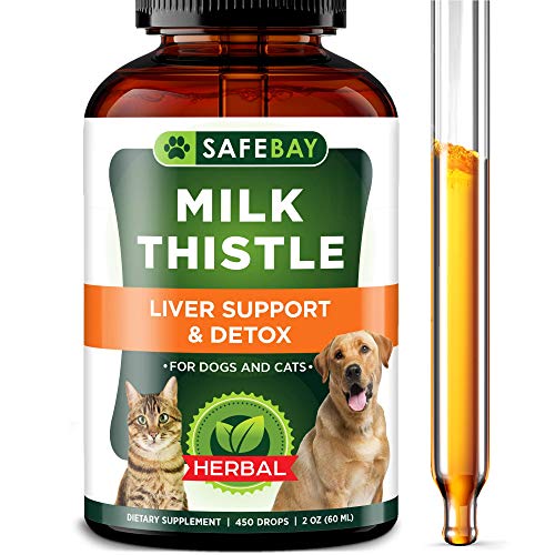 Immune & Kidney Support for Dogs and Cats - Best Liquid Milk Thistle