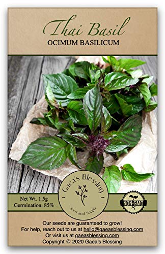 Gaeas Blessing Thai Basil Seeds - Non-GMO - with Easy to Follow Planting Instructions - Open-Pollinated Heirloom High Yield Heirloom 85% Germination Rate