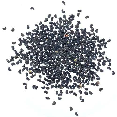 Seed Needs Rue Seeds for Planting - Non-GMO Heirloom & Untreated Perennial Herb Seed to Plant a Home Grown Medicinal Garden Indoors or Outdoors (1 Pack) - Image 6