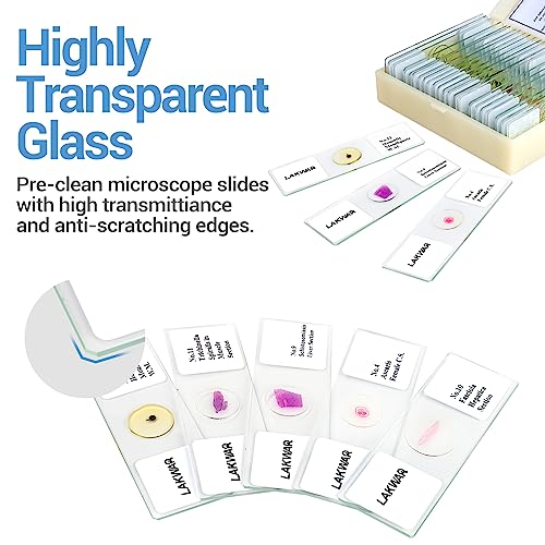 Snapklik.com : 25 Microscope Slides
