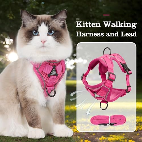 Arnés para gatos correa resistente gatitos chaleco ajustable cachorro suave 3