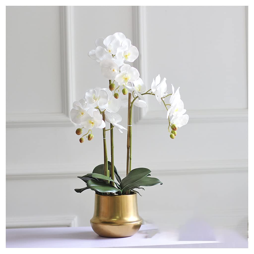 TOTIKI Artificial Flowers Artificial Flowers In Vase, For Decoration, Fake Orchid Phalaenopsis For Home Centerpiece Decor Decoration(White)