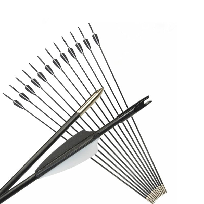 12Pcs 28 Inch Fiberglass Arrows 6.0mm Shaft for Recurve Bow Long Bow Hunting Target Practice,