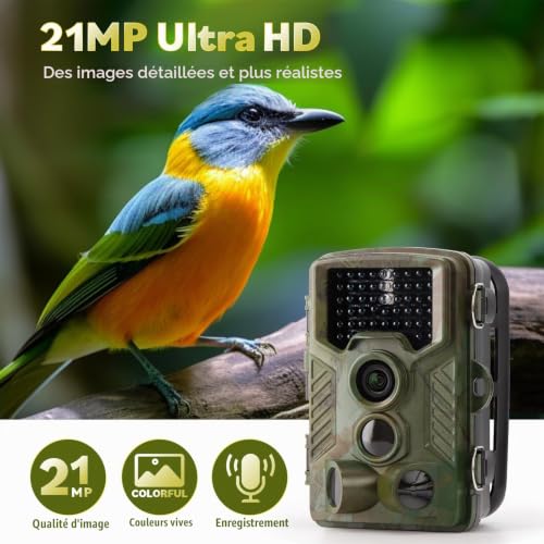 Caméra de Chasse COOLIFE Caméra de Surveillance Étanche...