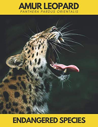 Amur Leopard(Panthera pardus orientalis): Endangered Species.Save the Animals.Lined Notebook Journal (Save Animals)